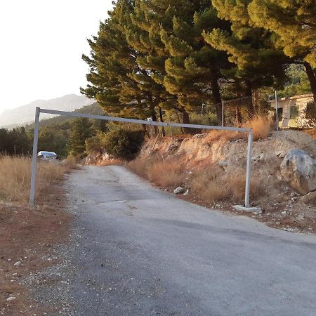 Peace And Quiet Apartment In Brela, Croatia Εξωτερικό φωτογραφία